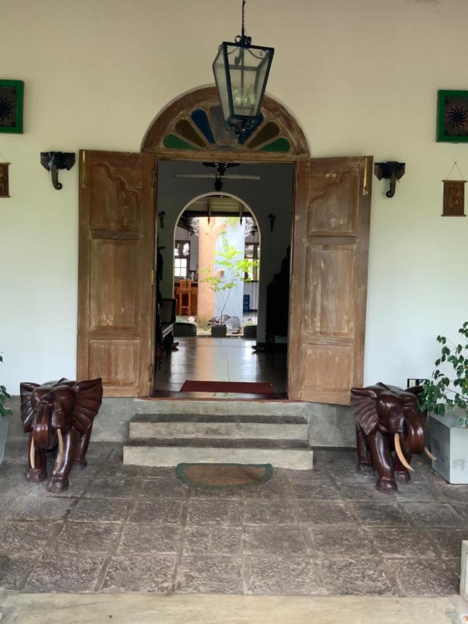Lali Villa & Fruit Garden Galle Exteriér fotografie