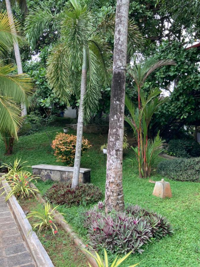 Lali Villa & Fruit Garden Galle Exteriér fotografie