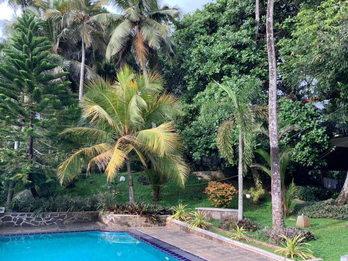 Lali Villa & Fruit Garden Galle Exteriér fotografie