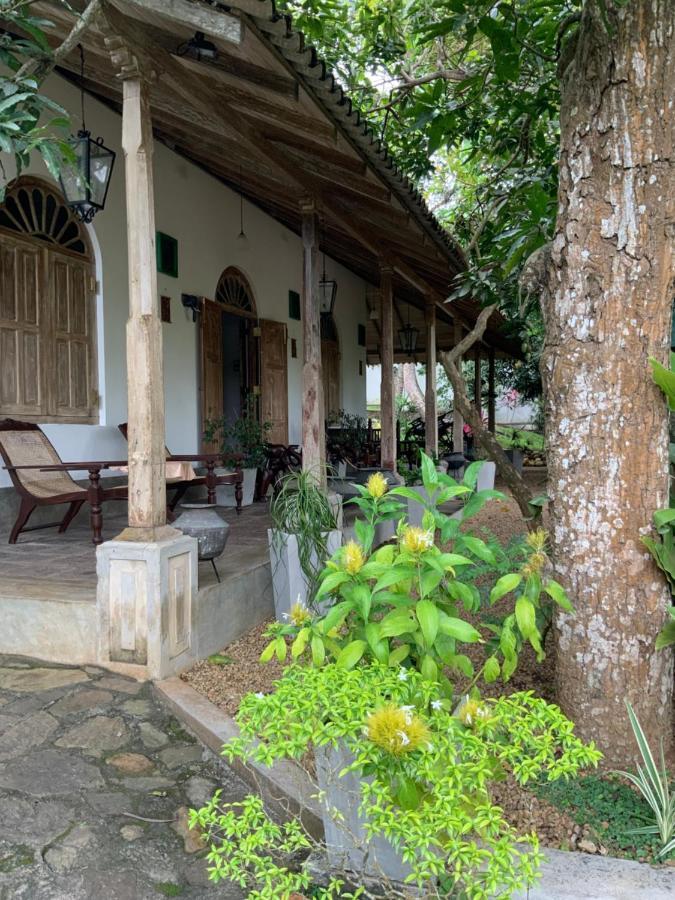Lali Villa & Fruit Garden Galle Exteriér fotografie