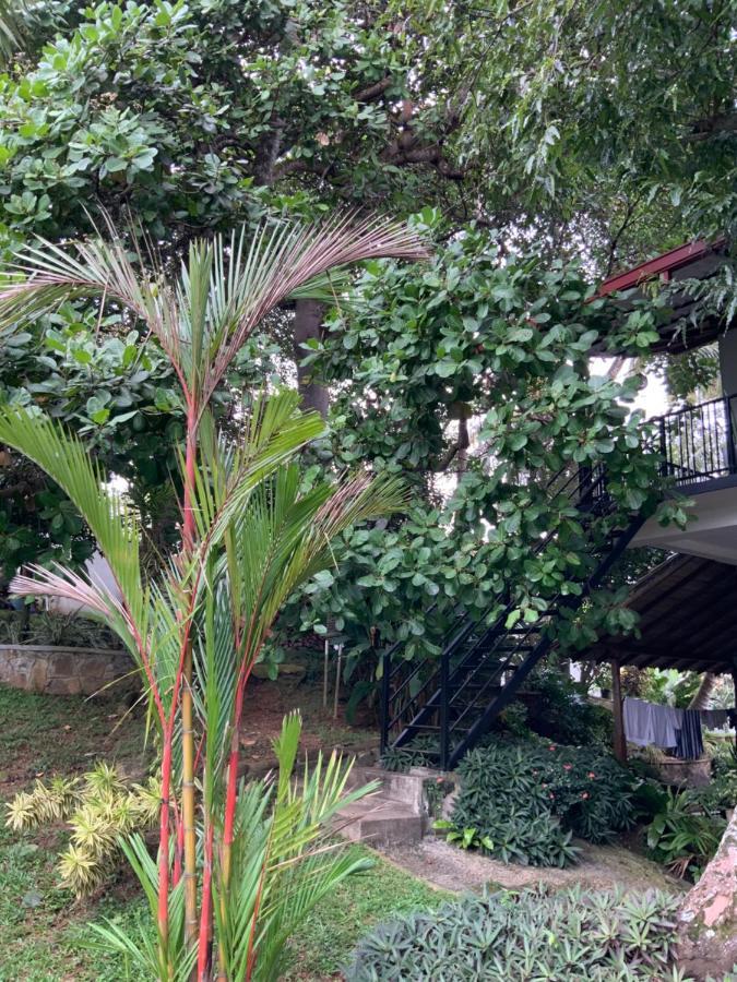Lali Villa & Fruit Garden Galle Exteriér fotografie