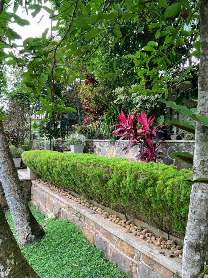 Lali Villa & Fruit Garden Galle Exteriér fotografie