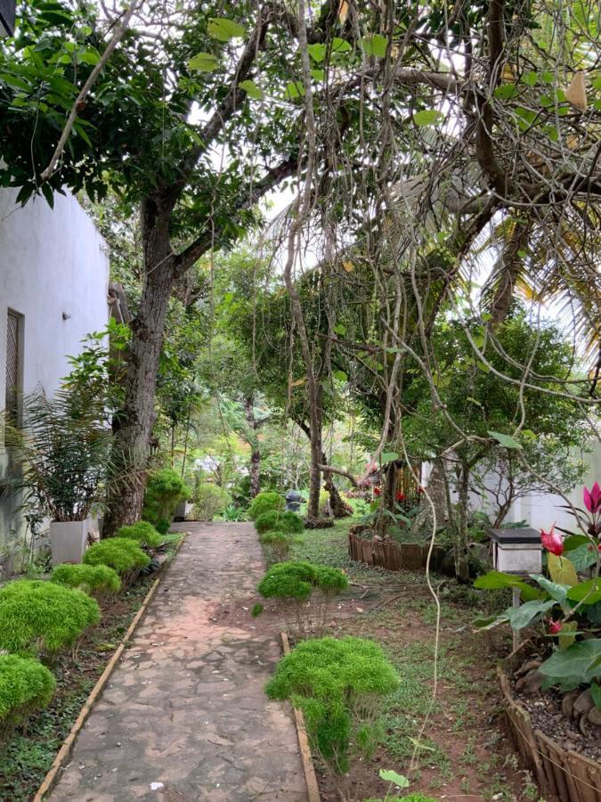 Lali Villa & Fruit Garden Galle Exteriér fotografie