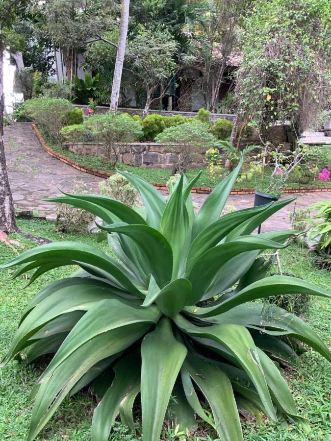 Lali Villa & Fruit Garden Galle Exteriér fotografie