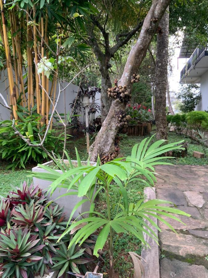 Lali Villa & Fruit Garden Galle Exteriér fotografie