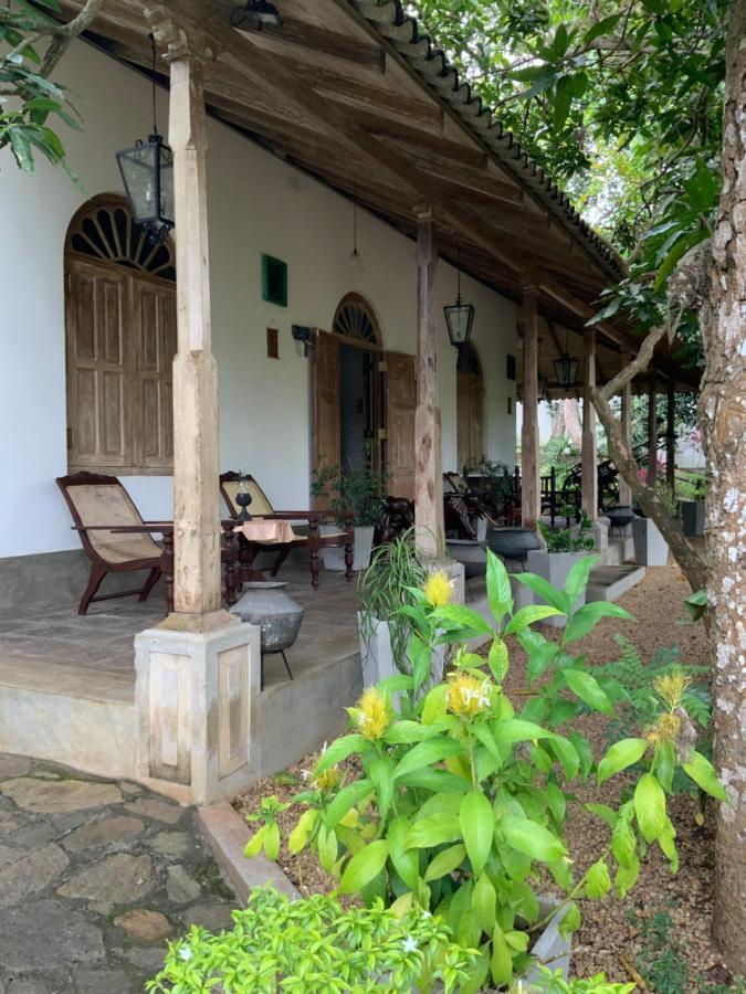 Lali Villa & Fruit Garden Galle Exteriér fotografie