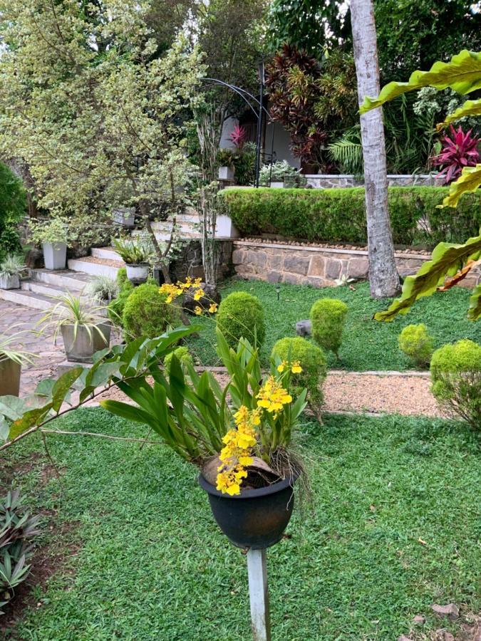 Lali Villa & Fruit Garden Galle Exteriér fotografie