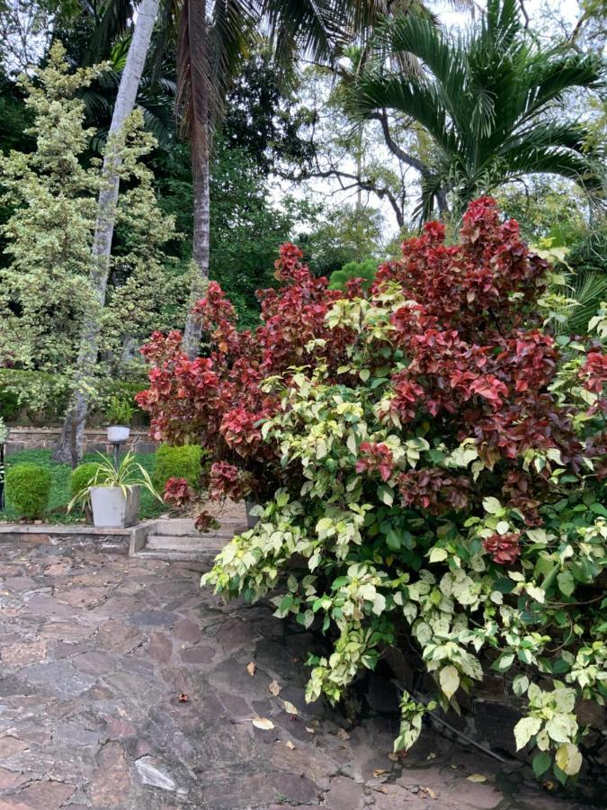Lali Villa & Fruit Garden Galle Exteriér fotografie