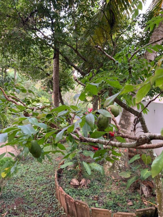 Lali Villa & Fruit Garden Galle Exteriér fotografie
