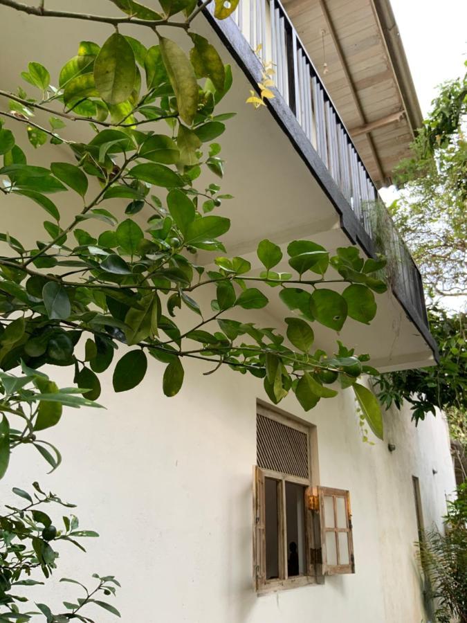 Lali Villa & Fruit Garden Galle Exteriér fotografie