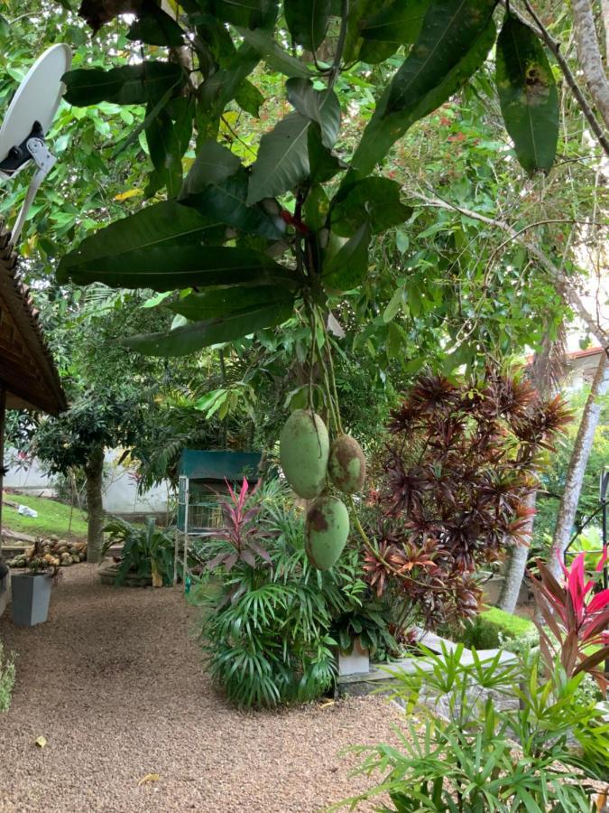 Lali Villa & Fruit Garden Galle Exteriér fotografie