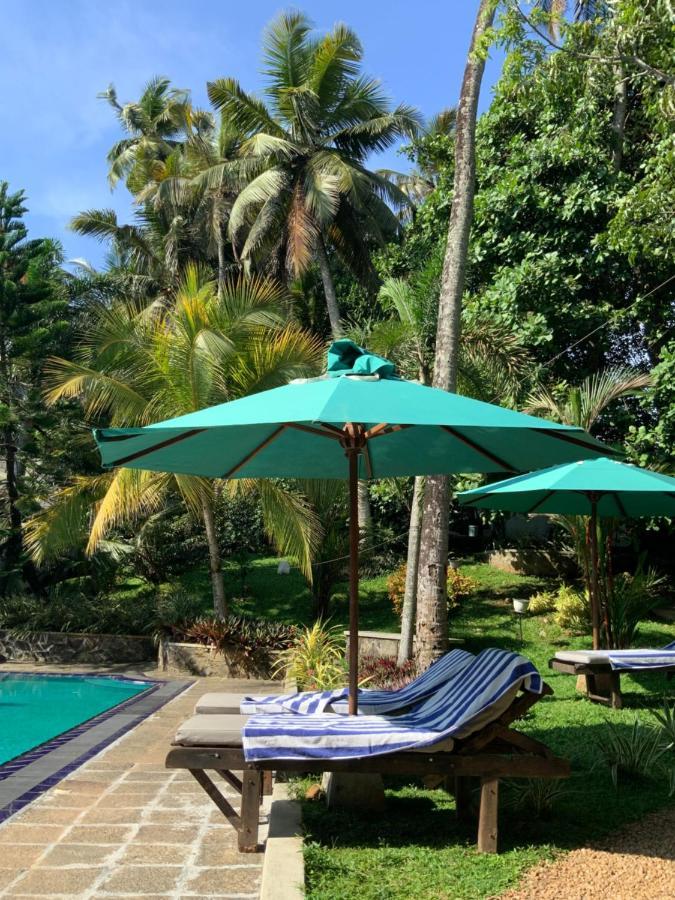 Lali Villa & Fruit Garden Galle Exteriér fotografie